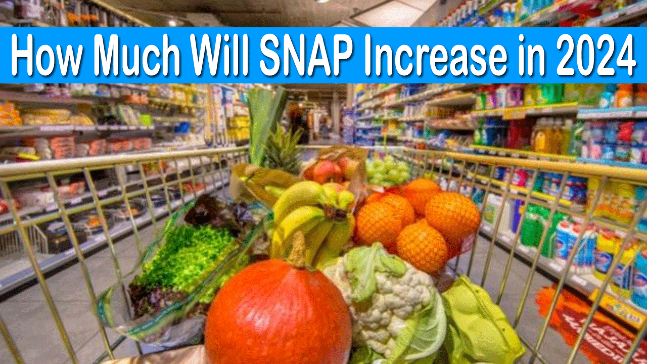 SNAP Increase 2024 Chart How Much Will SNAP Increase in 2024